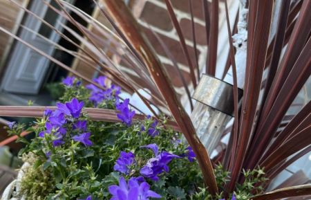 G&icirc;te n&deg;G3062 EU - Seine-Maritime - G&icirc;tes de France&reg; - Entre Ciel et Mer - photo