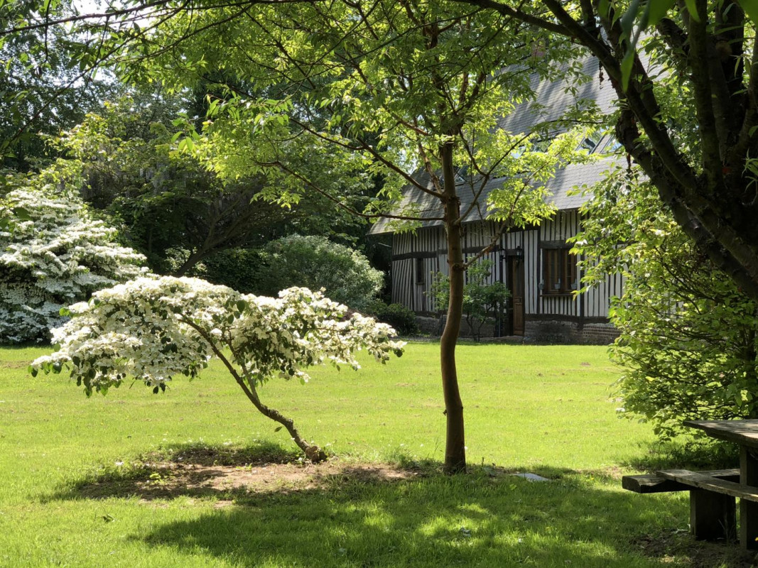 Vue du parc paysager de 2500 m² avec arbres centenaires