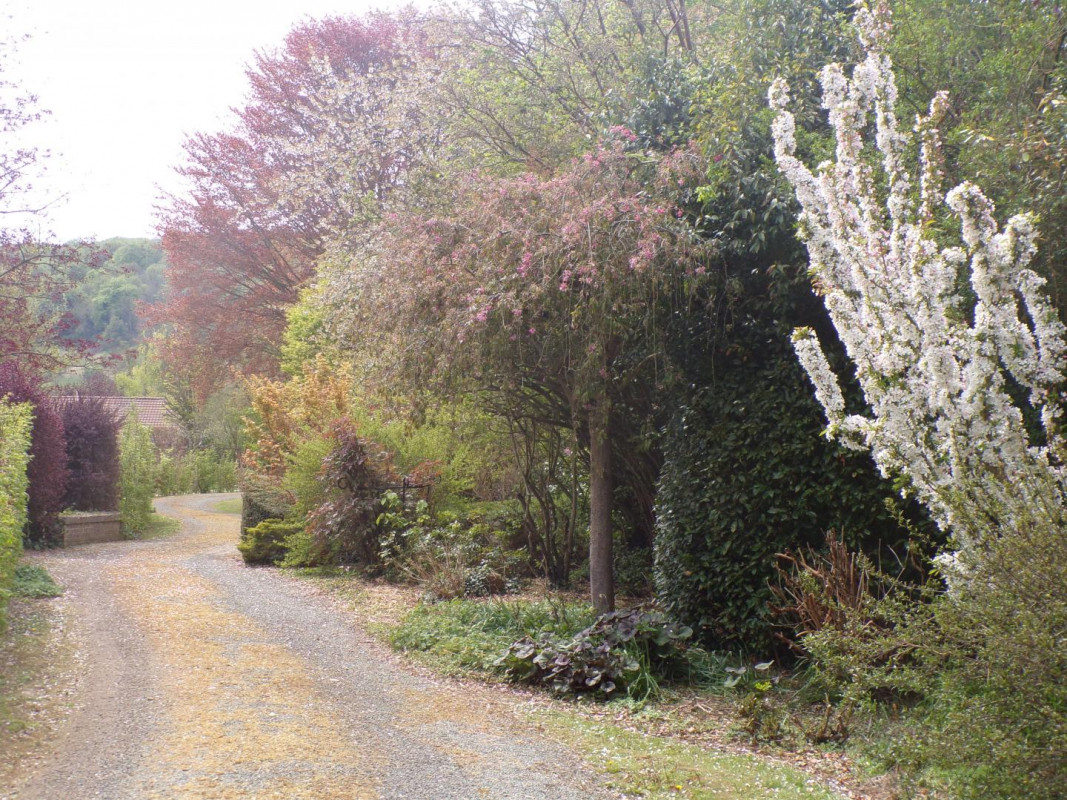 photo 45