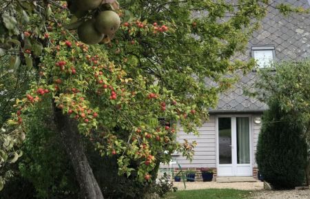 G&icirc;te n&deg;G1489 Ancretteville-sur-Mer - Seine-Maritime - photoAutomne
