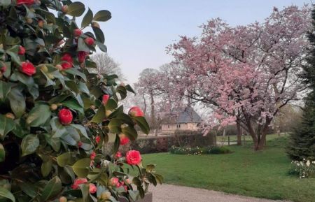 G&icirc;te n&deg;G1236 Bretteville-du-Grand-Caux - Seine-Maritime - environnement